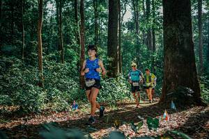 BIB: 
                            <button type="button" onclick="openModal(26130835)" class="btn btn-primary btn-sm float-right btn-popup" data-toggle="modal" data-target=".modal-high-quality">
                        <i class="fas fa-shopping-cart"></i> Add to Cart
                    </button>
                                            <button type="button" onclick="isThisMe(26130835, true)" class="btn btn-success btn-sm float-right btn-popup btn-isme hidden" data-toggle="tooltip" data-placement="bottom" title="นี่คือรูปของคุณใช่ไหม คลิกที่นี่เพื่อเอาเข้าอัลบั้ม">
                        <i class="fas fa-plus"></i> Add to album
                    </button>
                    <button type="button" onclick="isThisMe(26130835, false)" class="btn btn-warning btn-sm float-right btn-popup btn-isnotme hidden">
                        <i class="fas fa-ban"></i> Remove from album
                    </button>